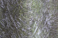 Boulmer fibreglass roof work